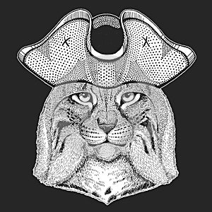 Lynx, bobcat, trot portrait. Pirate cocked hat. Sailor. Head of wild cat. Animal face.