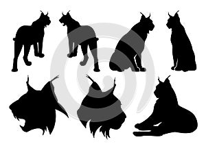Lynx cats black vector silhouette set