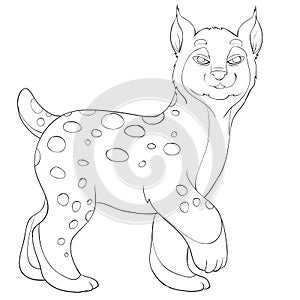 Lynx is drawn in the outline, coloring, isolated object on a white background, vector illustration,