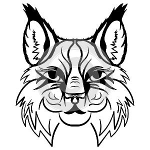 Lynx head sketch vector graphics monochrome