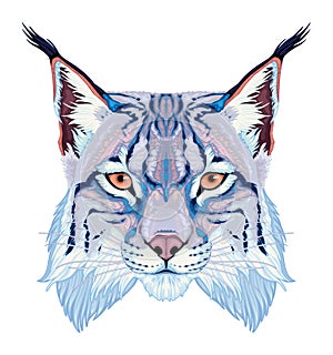 Lynx head, vector isolated animal