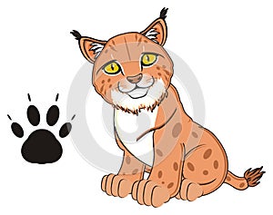 Lynx and her footprint