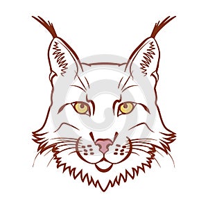 Lynx mascot logo. Head of lynx isolated vector illustration