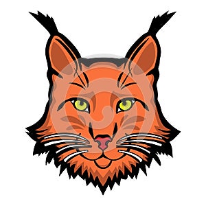 Lynx mascot logo. Head of lynx isolated vector illustration