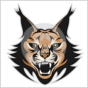 Lynx mascot logo. Head of lynxes isolated vector illustration.