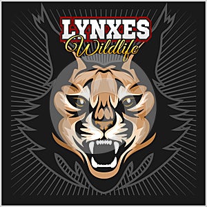 Lynx mascot logo. Head of lynxes vector illustration.