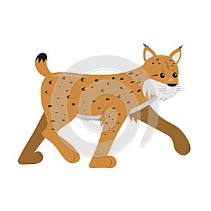 lynx from side walking isolated on white background, cute vector illustration for children and kids