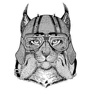 Lynx, wild cat, bobcat, trot wearing a motorcycle, aero helmet. Hand drawn image for tattoo, t-shirt, emblem, badge