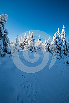 Lysa hora hill in winter Moravskoslezske Beskydy mountains