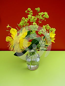 Yellow Loosestrife, lady`s mantle, yellow wall lettuce and Yellow Rose of Sharon flowers in glass vase on green table