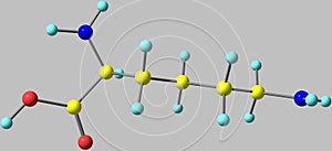 Lysine acid molecule isolated on grey
