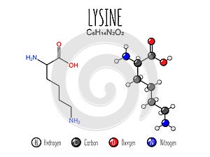 Lysine amino acid representation.