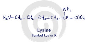 Lysine chemical structure. Vector illustration Hand drawn