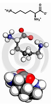 Lysine Lys, K amino acid, molecular model.
