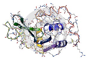 Lysozyme, the natural antibacterial enzyme