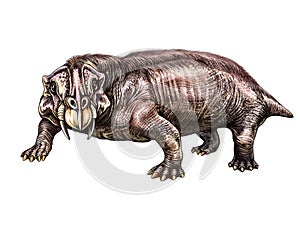 Lystrosaurus, a small herbivorous dinosaur