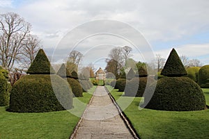 Topiary At Lytes Cary Manor House, Somerset, England photo