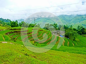 LÃ o Cai rice fields near Sapa Chapa in north mountains of Vietnam