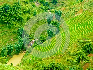 LÃ o Cai rice fields near Sapa Chapa in north mountains of Vietnam