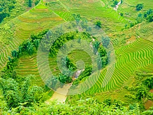 LÃ o Cai rice fields near Sapa Chapa in north mountains of Vietnam