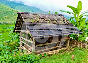 LÃ o Cai rice fields near Sapa Chapa in north mountains of Vietnam