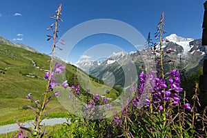 LÃ¶tschen Zwitserland, LÃ¶tschen Switzerland