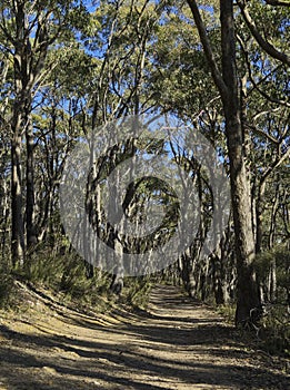 Hiking track of Carro Track