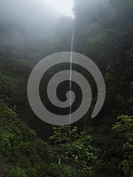 100 m high waterfall in thick fog at the end of Levada Caldeirao Verde hiking trail, Madeira island, Portugal. Dense photo