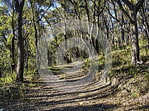 Hiking track of Carro Track