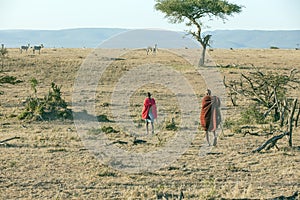 Maasai Askari
