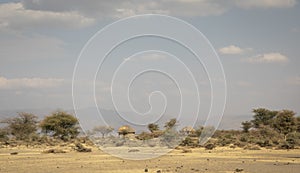 Maasai boma in tanzanian landscape