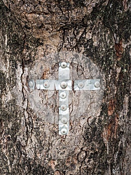 Maasai cross