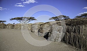 Maasai Dung Huts