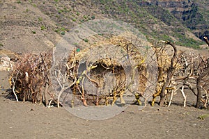 Maasai house in a village in Tanzania