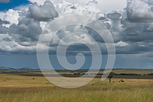 Maasai Mara landscape