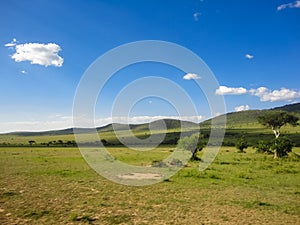 Maasai Mara National Reserve in Kenya