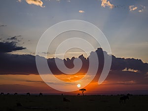 Maasai Mara Sunset photo