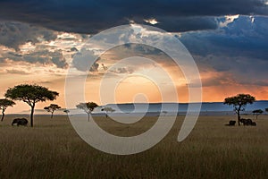 Maasai Mara sunset landscape