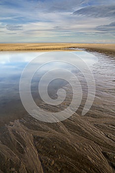 The Maasvlakte beach