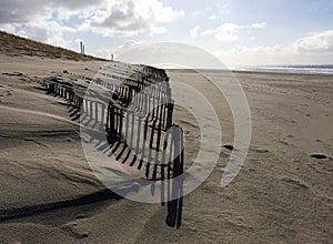 Maasvlakte beach Slufterstrand photo