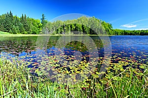 Mabel Lake Northwoods Wisconsin photo