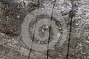 Rock texture mable background