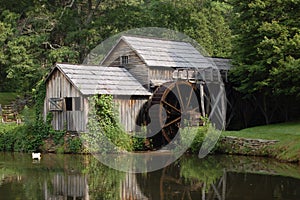 Mabry Mill 2