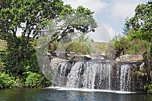 Mac Mac Pools between Graskop and Sabie, Mpumalanga, South Africa