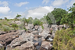 Mac Mac Pools between Graskop and Sabie, Mpumalanga, South Africa