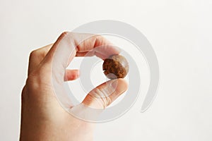 Macadam nut in womans hand on white background