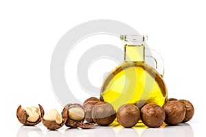 Macadamia fruits and oil isolated white background