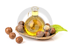 Macadamia fruits and oil isolated white background