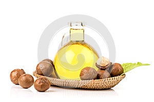 Macadamia fruits and oil isolated white background