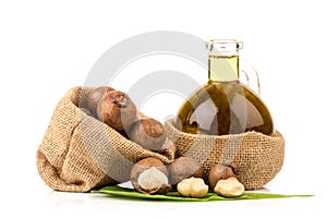 Macadamia fruits and oil isolated white background